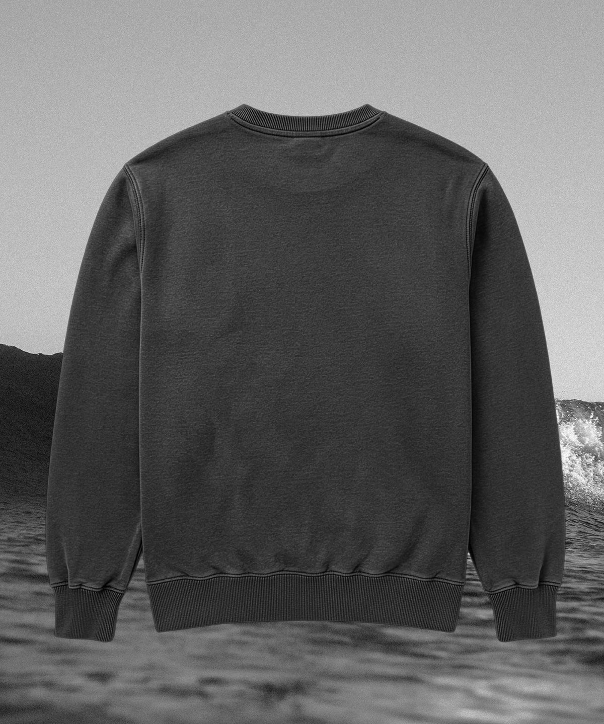 Loon-Crewneck-Matchstick-Back-01.jpg